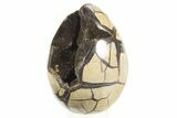 Septarian Dragon Egg Geode - Black Crystals #304614-2